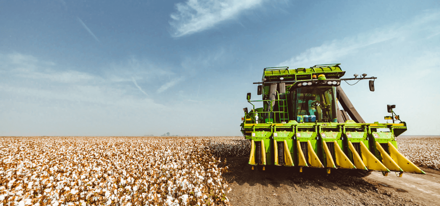 Rebecca Burgess’s Quest to Transform Cotton into a Regenerative Crop